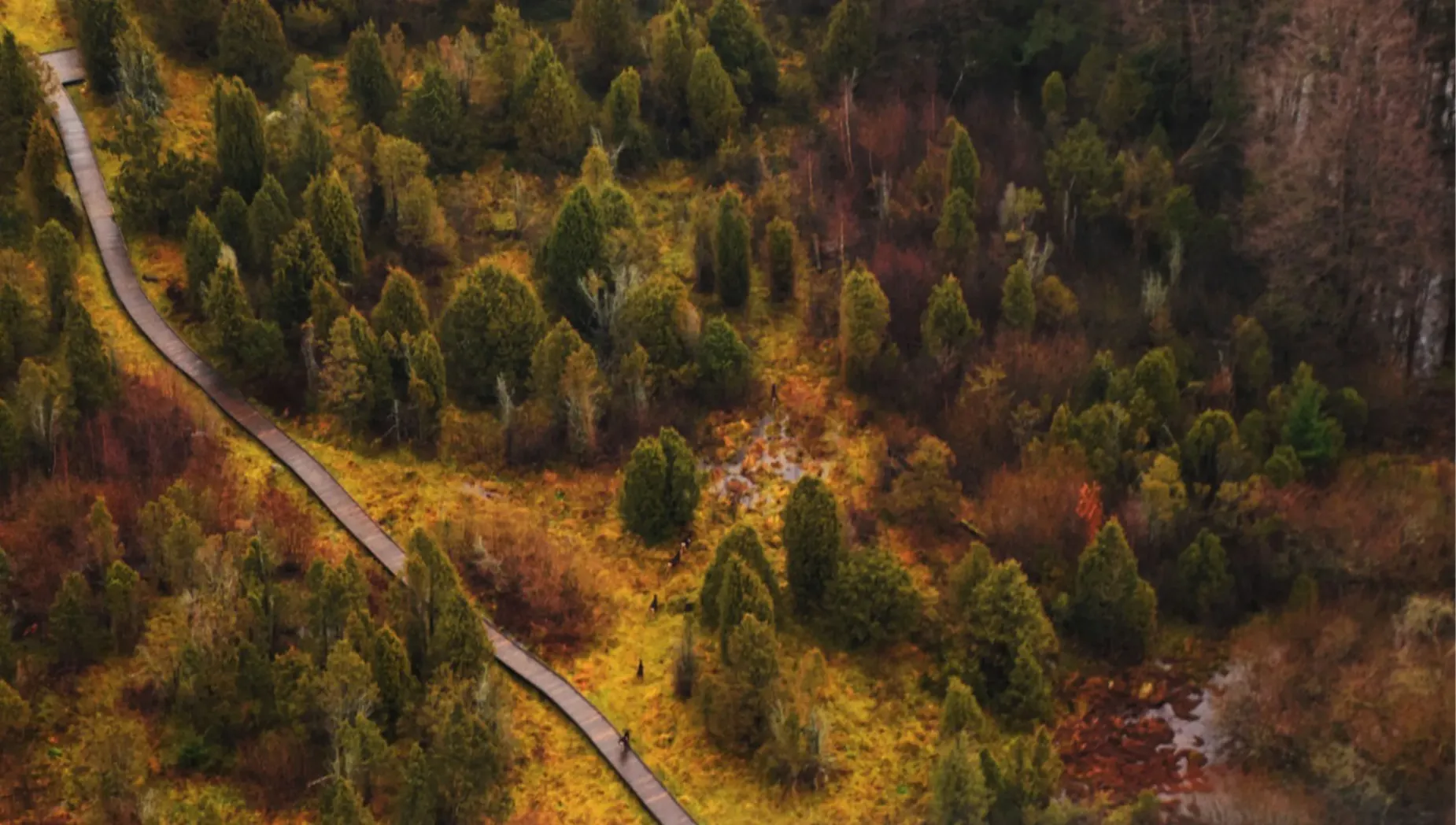 Salantų regioninio parko direkcija