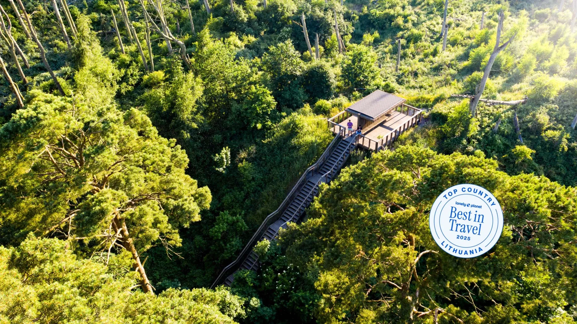 Dead Dunes observation deck surrounded by lush pine forest in Curonian Spit National Park