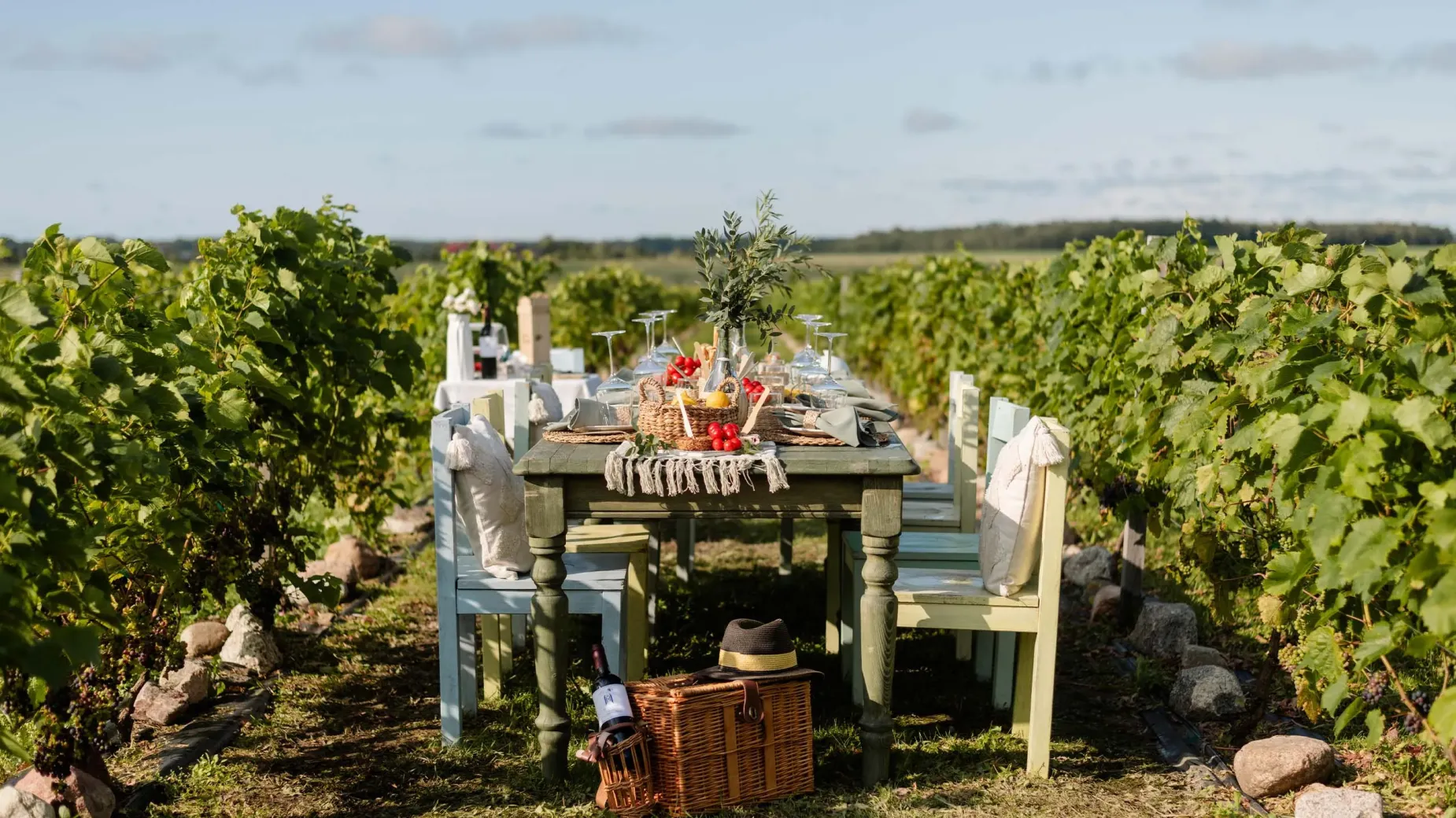 Seaside Vineyard Escape