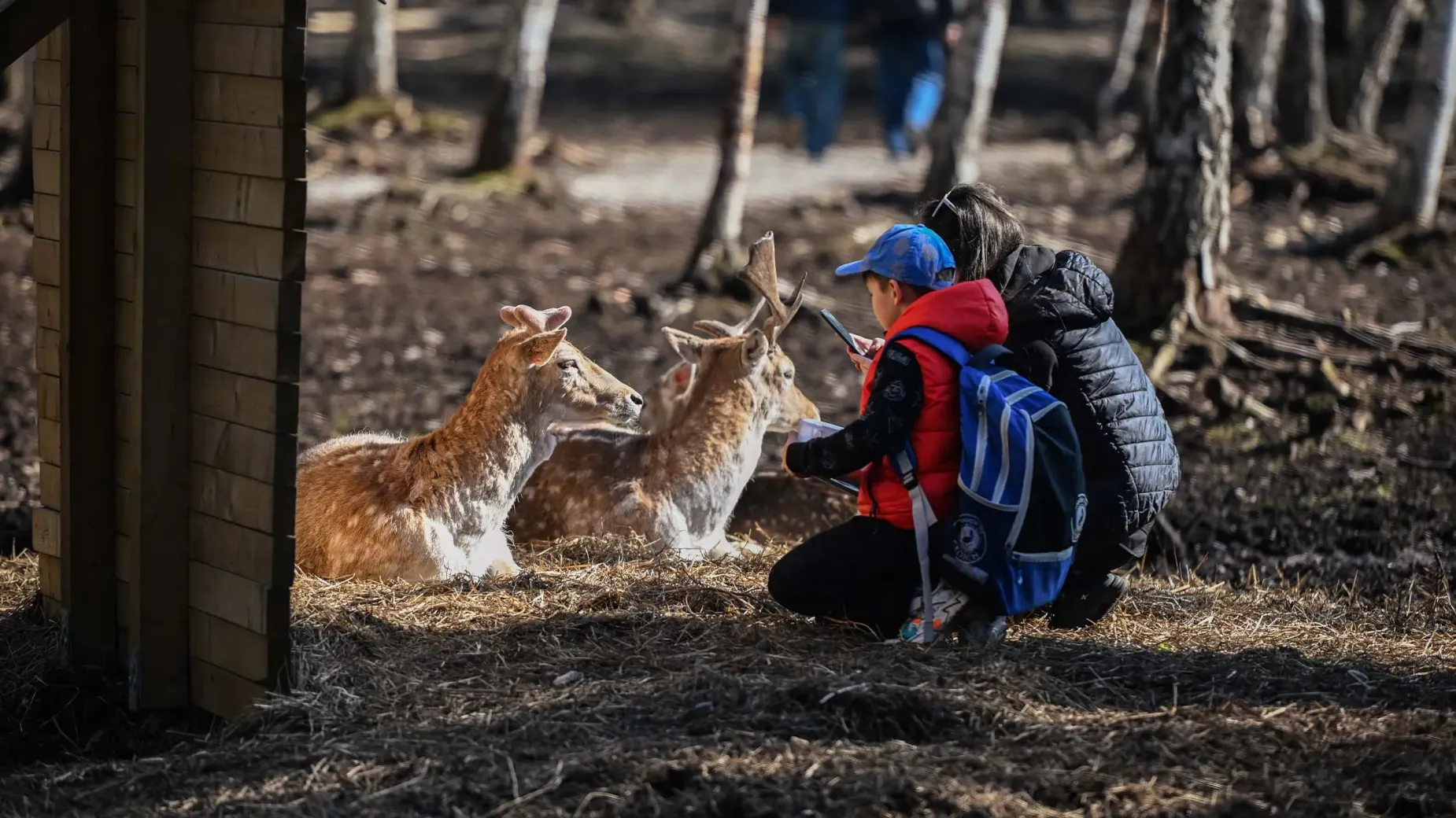 Perlinių danielių parkas Kaišiadorių rajone