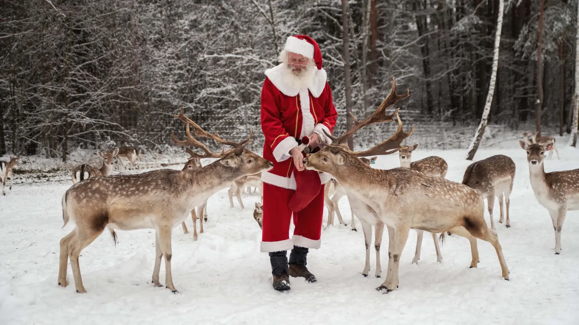 Kalėdų senelis Perlinių danielių parke – susitikimas su stebuklu