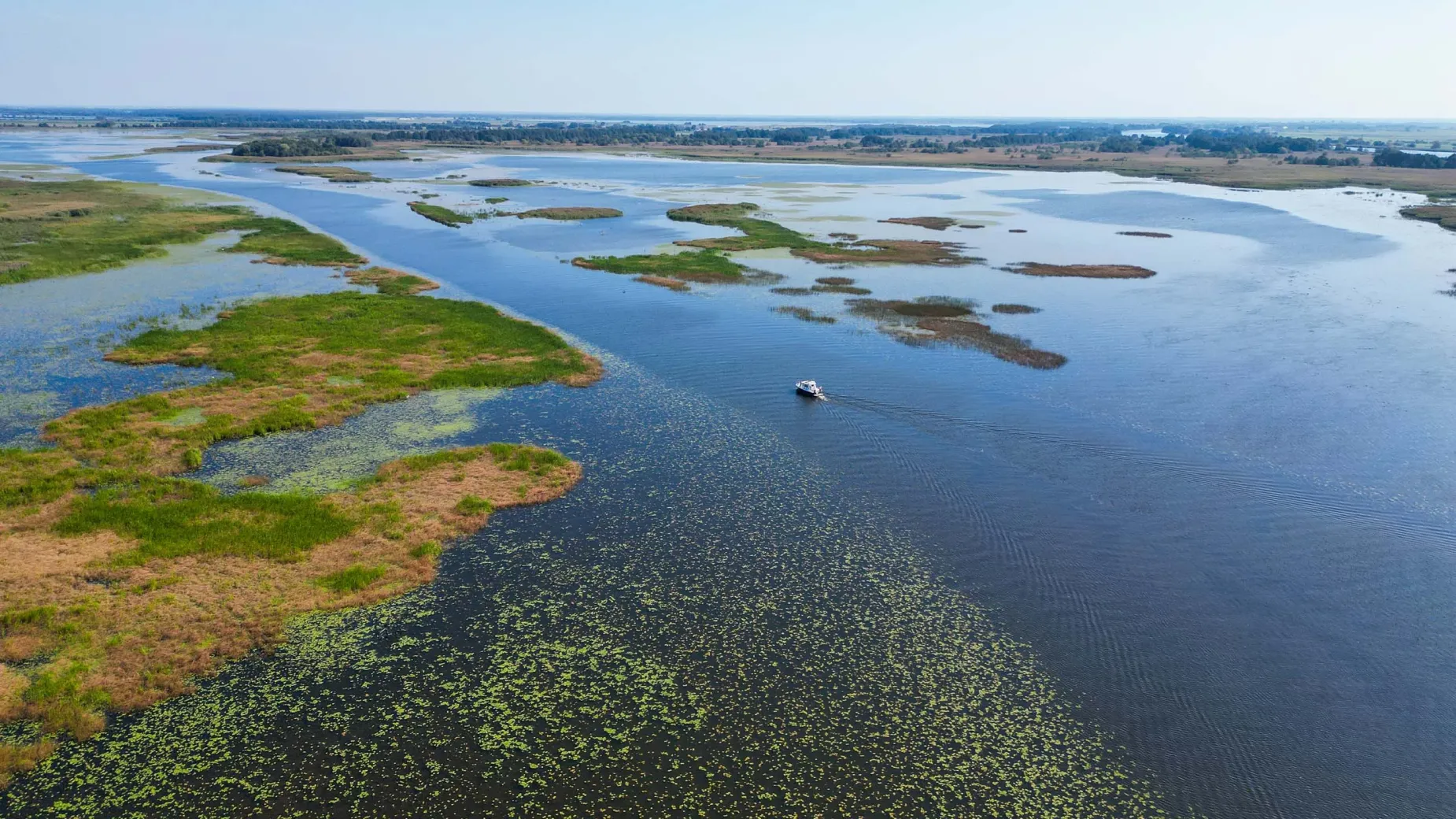 Paukščių stebėjimas Nidos panorama iš paukščio skrydžio